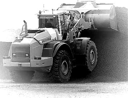 sheben_granitniy2